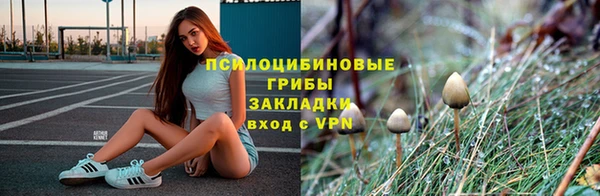 герыч Ладушкин