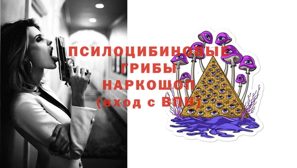 сатива Лагань