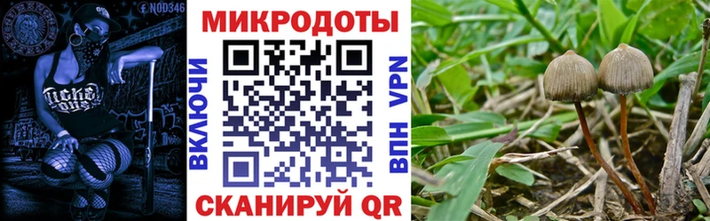наркошоп  ссылка на мегу сайт  Псилоцибиновые грибы ЛСД  Лебедянь 